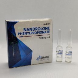 [Nandrolona D Bulk]