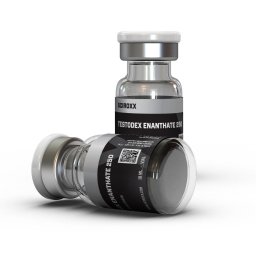Sciroxx Testodex Enanthate 250 Testodex Enanthate 250