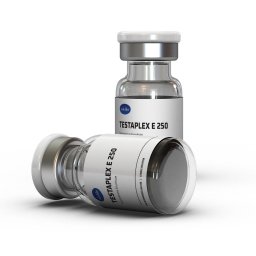 Sciroxx Testodex Enanthate 250 Bulk Testodex Enanthate 250 Bulk