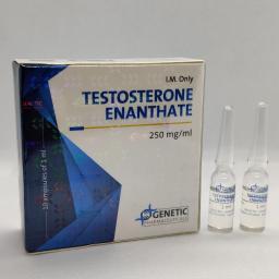 Testosterona E Bulk