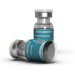Testoxyl Enanthate for Sale