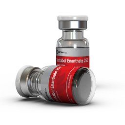 Kalpa Pharmaceuticals Testoxyl Enanthate 250 Wholesale Testoxyl Enanthate 250 Wholesale