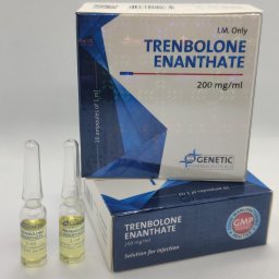 [Trenboxyl Enanthate 200 Wholesale]