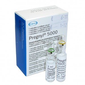 pregnyl hcg 500 iu ampules