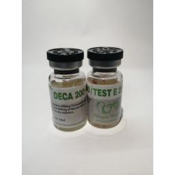 Deca 200 / Test E 200 - Nandrolone Decanoate - Dragon Pharma, Europe