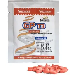 GP T3