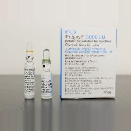 HCG Pregnyl 5000 IU