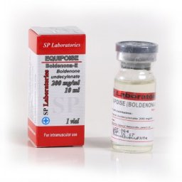 SP Equipoise