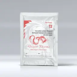 T3