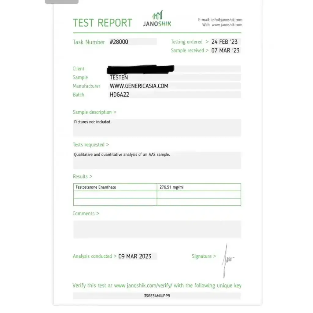 Testen Testen