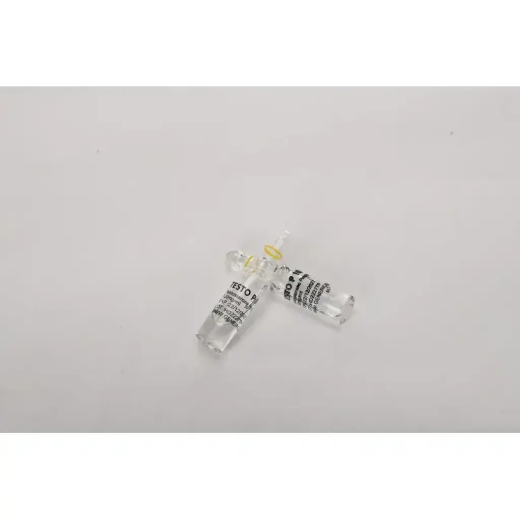 Testo P 100 Testo P 100