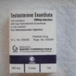 Testosteron Geofman 250